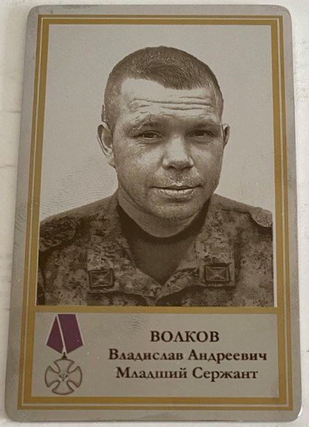 Волков Владислав Андреевич