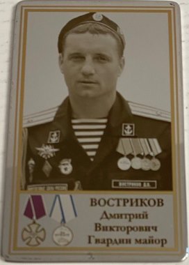 Востриков Дмитрий Викторович 
