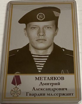Метляков Дмитрий Александрович